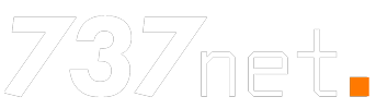 737 Network Logo